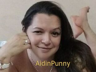 AidinPunny