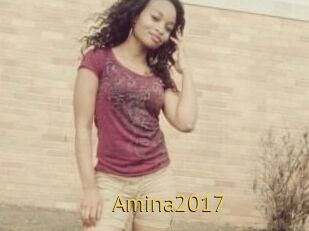 Amina2017