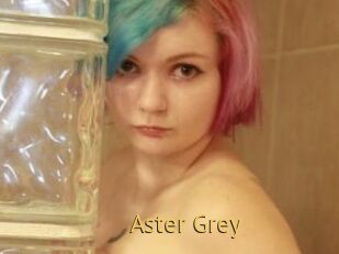 Aster_Grey
