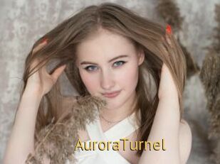 AuroraTurnel