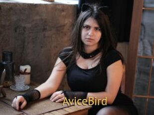 AviceBird