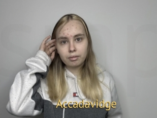 Accadavidge