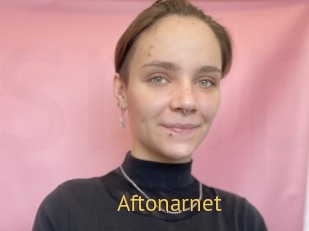 Aftonarnet