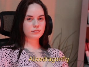 Alicedragonfly