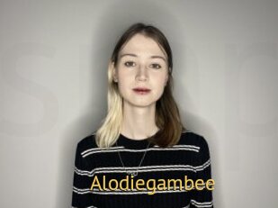 Alodiegambee
