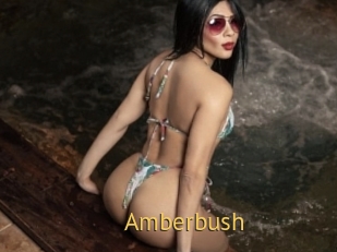 Amberbush
