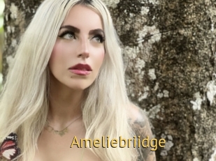 Ameliebriidge
