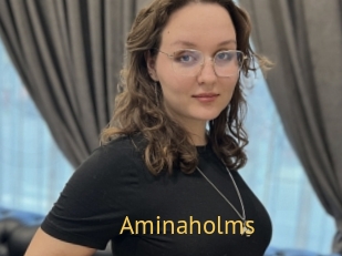 Aminaholms