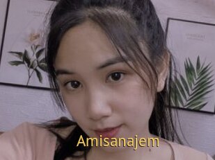 Amisanajem