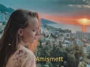 Amismett