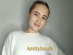 Amitybarris
