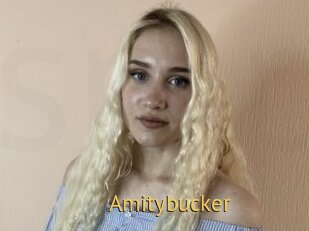 Amitybucker