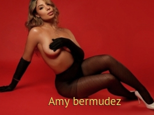 Amy_bermudez