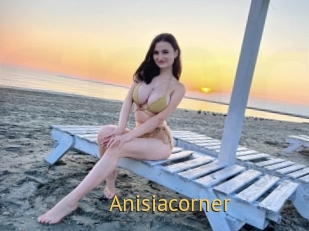 Anisiacorner
