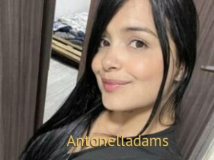Antonelladams