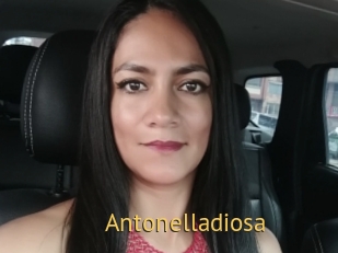 Antonelladiosa