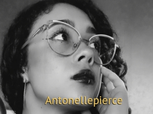 Antonellepierce