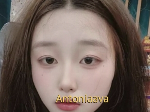 Antoniaava