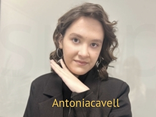Antoniacavell