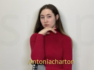 antoniacharton Smilin Pussy