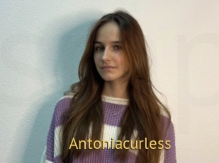 Antoniacurless