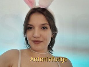 Antoniafudge