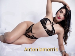 Antoniamorris