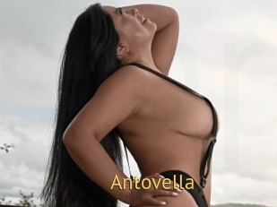 Antovella