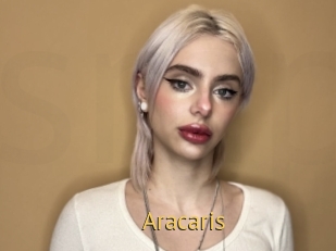 Aracaris