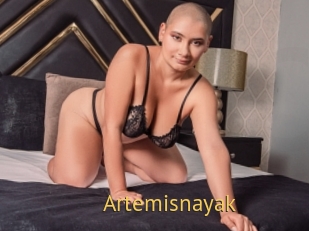 Artemisnayak
