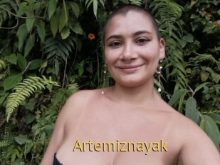 Artemiznayak