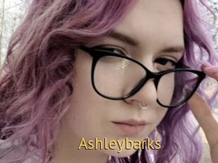Ashleybarks
