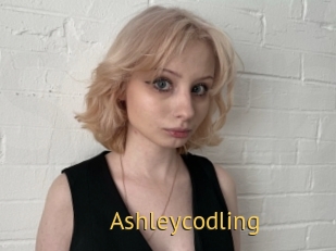 Ashleycodling