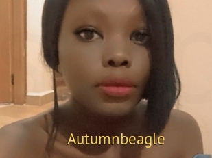 Autumnbeagle
