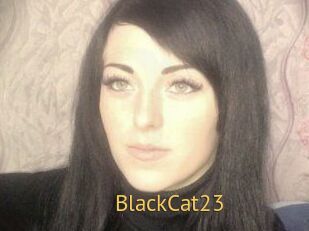 BlackCat23