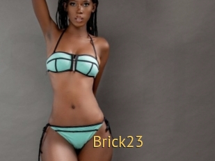 Brick23