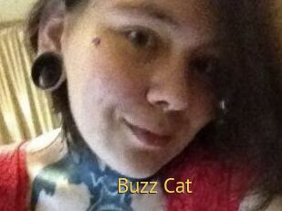 Buzz_Cat
