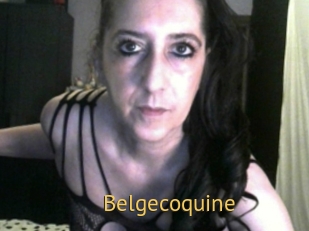 belgecoquine Smilin Pussy