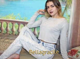 Bellagracile