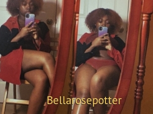 Bellarosepotter