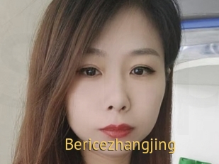 Bericezhangjing