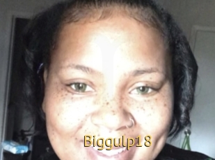 Biggulp18