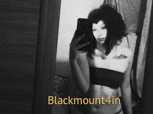 Blackmount4in