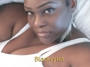 Blackvylet