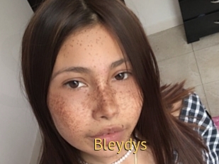 Bleydys