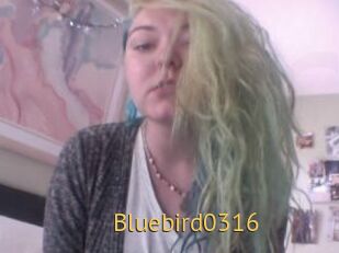 Bluebird0316