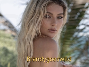 Brandygoeswild