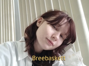 Breebaskett