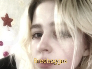 Breeboggus