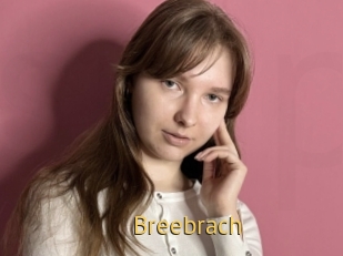 Breebrach